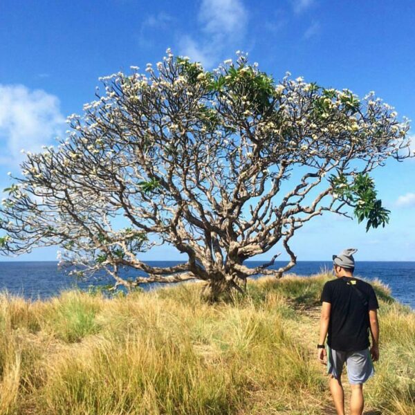 #explorebima Photo today by  taken at Pulau Ular, Wera, Bima.

#exploreindonesia...