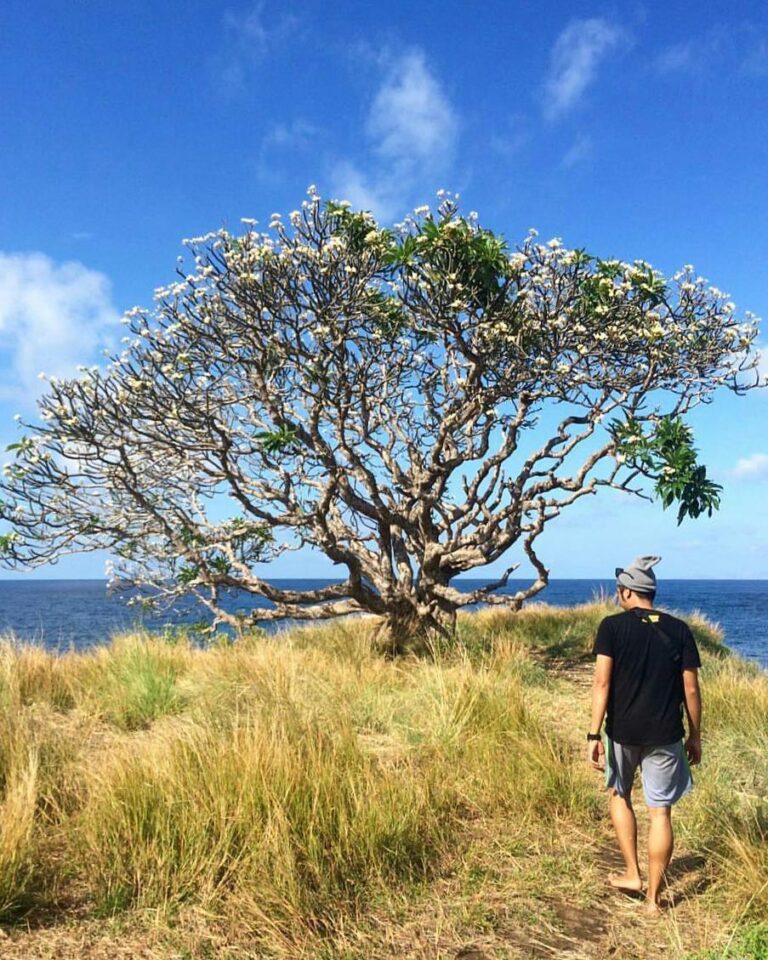 #explorebima Photo today by  taken at Pulau Ular, Wera, Bima.

#exploreindonesia...