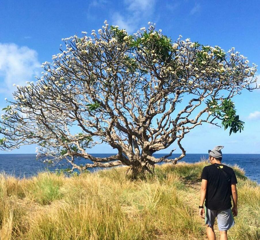 #explorebima Photo today by  taken at Pulau Ular, Wera, Bima.

#exploreindonesia...
