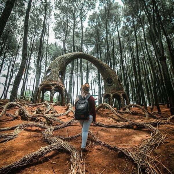 #explorejogja photo today by  taken at Hutan Pinus Pengger, Terong, Dlingo....