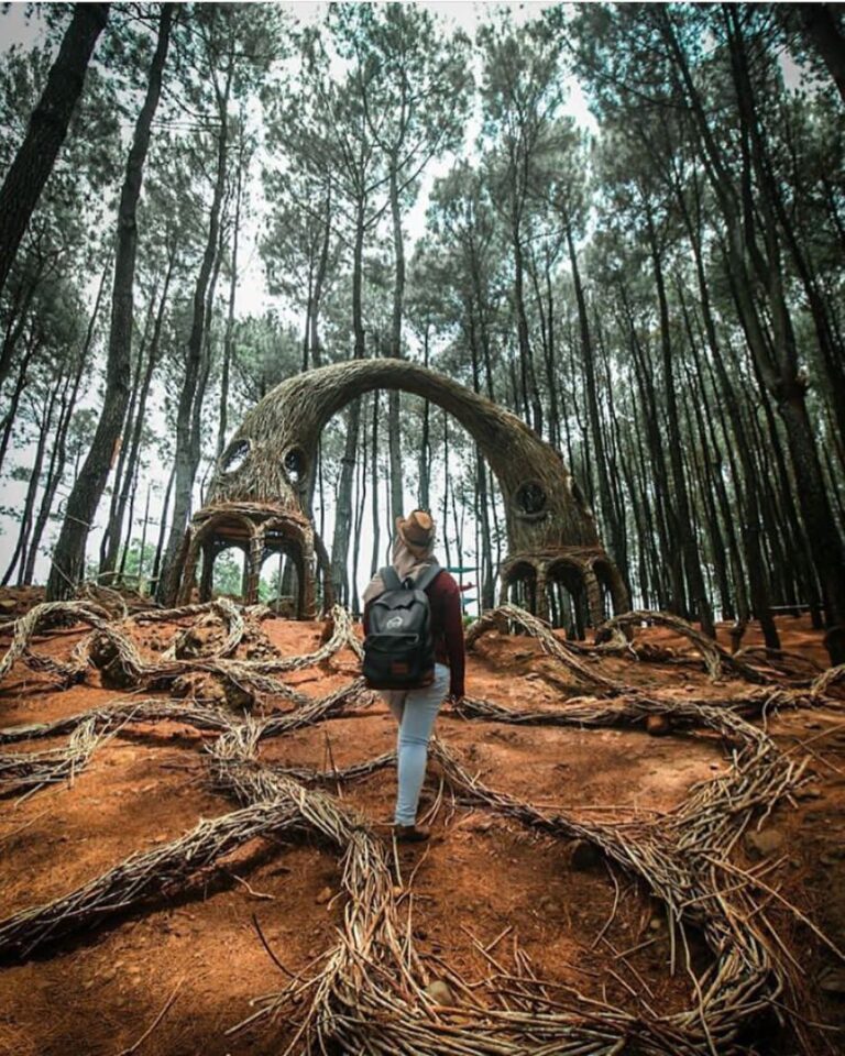 #explorejogja photo today by  taken at Hutan Pinus Pengger, Terong, Dlingo....