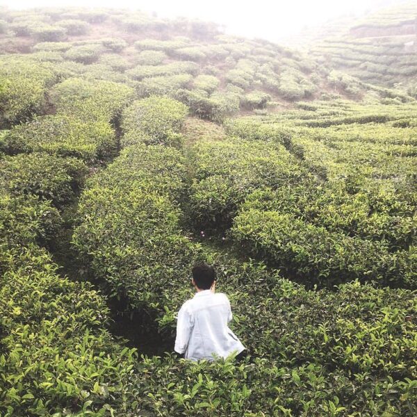 #exploresukabumi photo taken at Kalapanunggal by  via ...