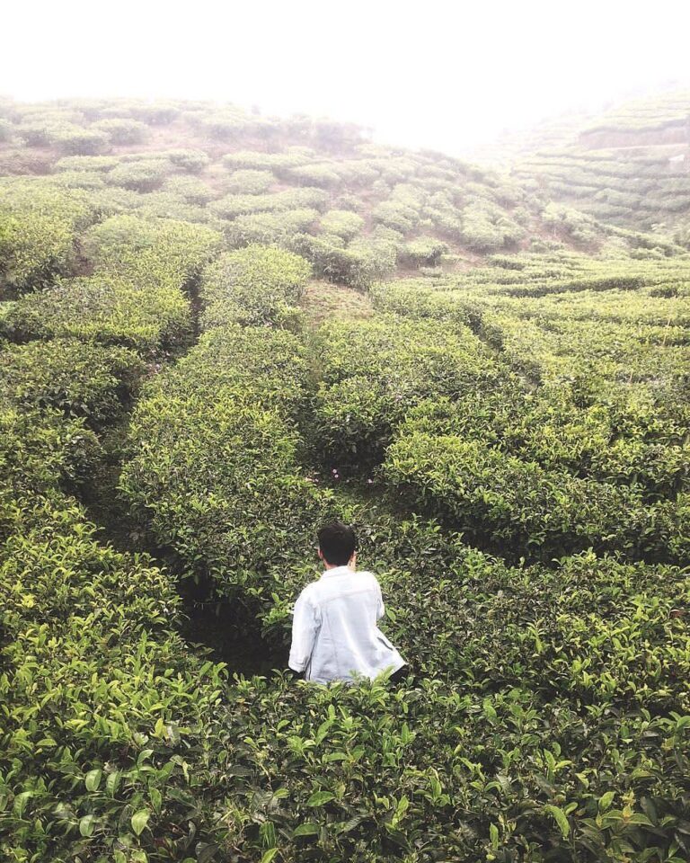 #exploresukabumi photo taken at Kalapanunggal by  via ...