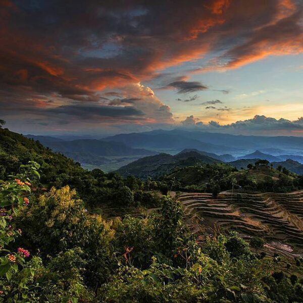 #explorebima Photo today by  taken at Lambitu Hill

#exploreindonesia...