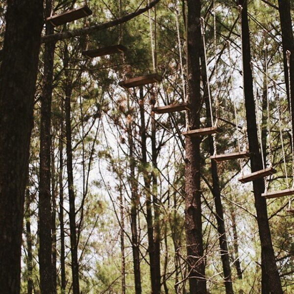 Photo today by  taken at hutan pinus Samparona. #explorebaubau #travelingindones...