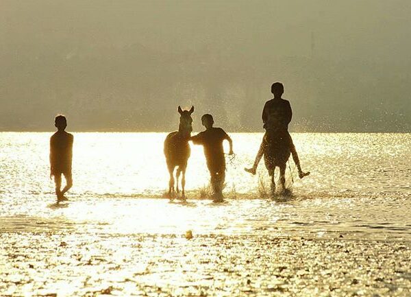 #explorebima Photo today by  taken at Amahami Beach

#exploreindonesia...
