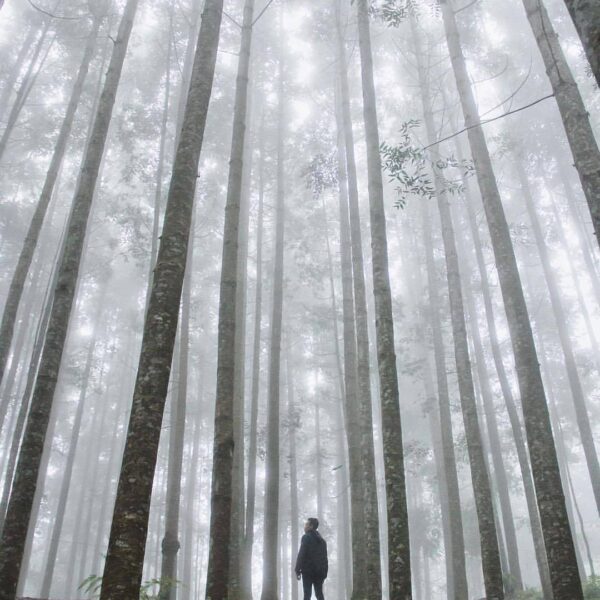 #exploresukabumi photo by  taken around Pasir Datar...