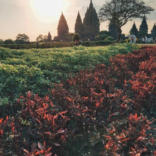 #explorejogja photo today by  taken at Candi Prambanan, Sleman....