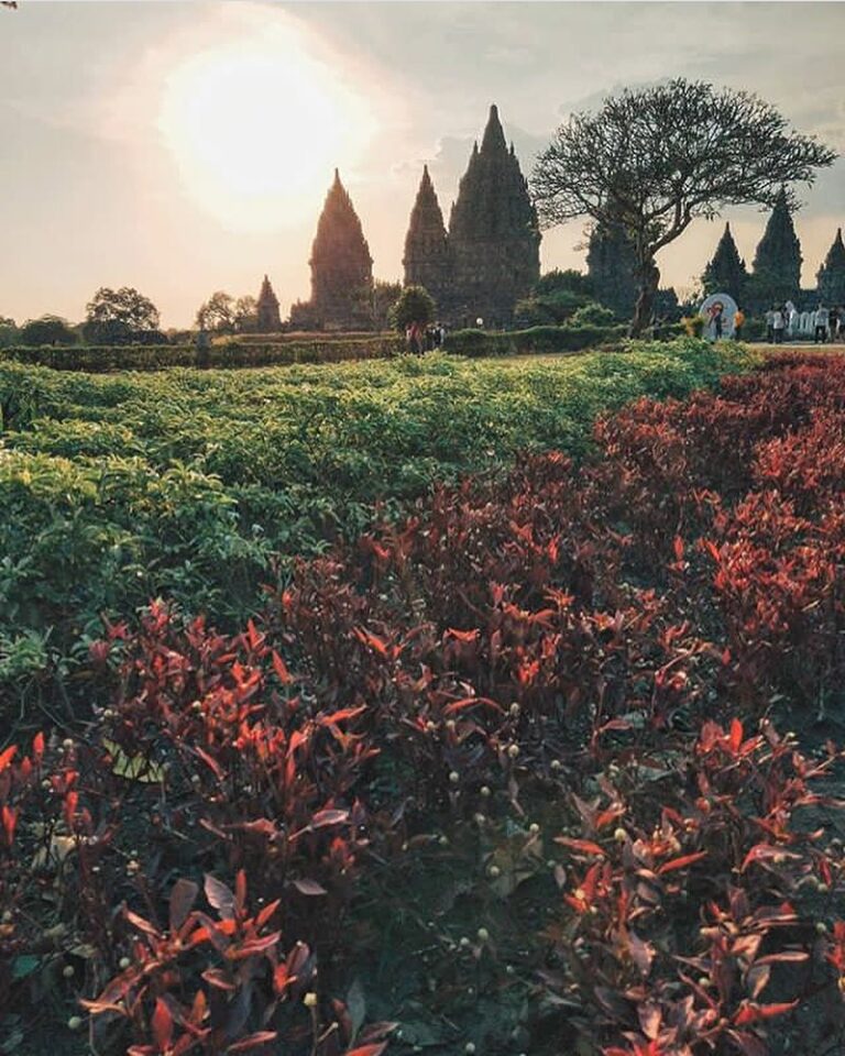 #explorejogja photo today by  taken at Candi Prambanan, Sleman....