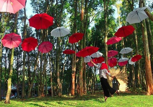 #explorejogja photo today by  taken at Lintang Sewu, Dlingo, Bantul....