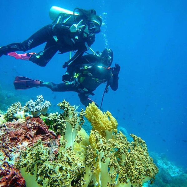 #explorealor Photo today by  Taken around at Alami Alor Dive Resort, Alor Kecil,...