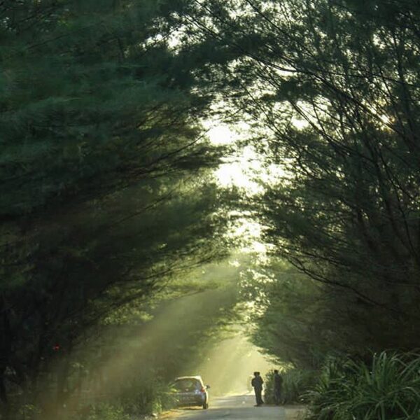 #explorejogja photo today by  taken around Pantai Depok, Bantul....