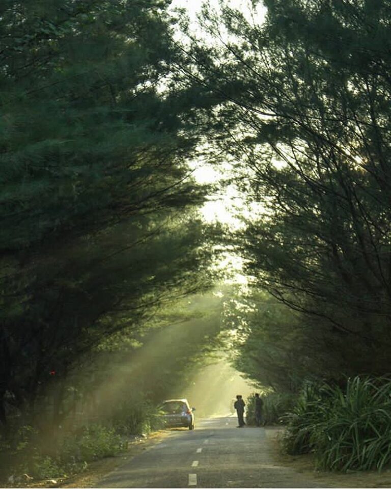 #explorejogja photo today by  taken around Pantai Depok, Bantul....