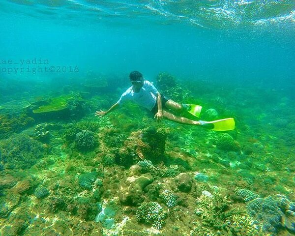#explorebima Photo today by  taken at So Dau Beach  Lambu
#exploreindonesia...