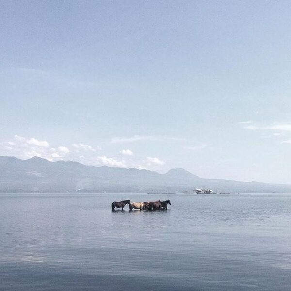 #explorebima Photo today by  taken at Kalaki Beach
#exploreindonesia...