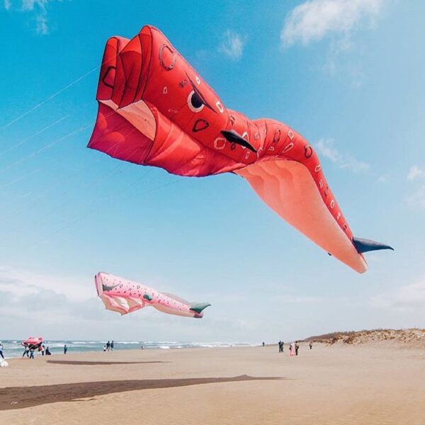 #explorejogja photo today by  taken at Pantai Parangkusumo, Bantul, Covering #fe...