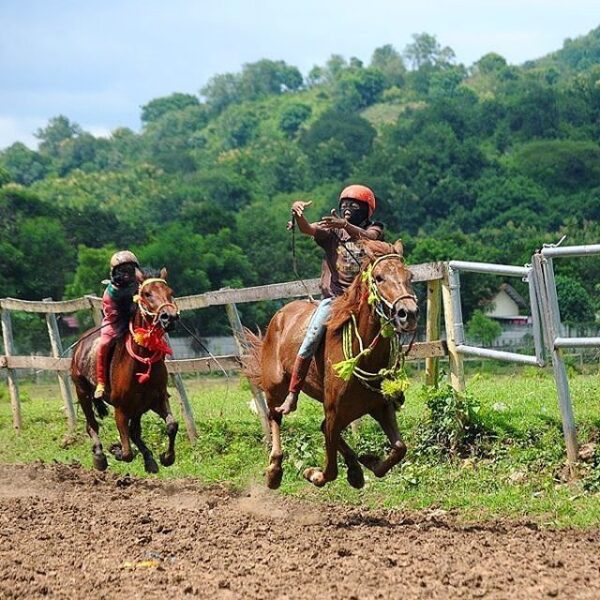 #explorebima Photo today by  taken at Horse Race Arena Panda
#exploreindonesia...