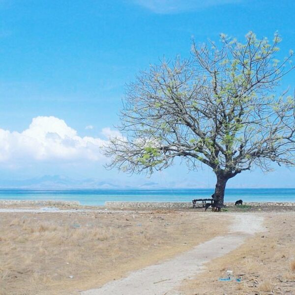 #explorealor Photo today by  Taken around at Desa Kayang, Pantar, Alor, Nusa Ten...