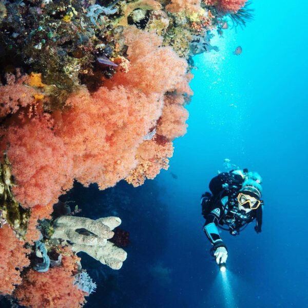 #explorealor Photo today by  Taken around at Alor, Nusa Tenggara Timur
#alor
#al...