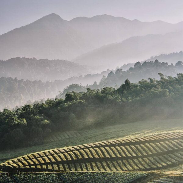 #exploresukabumi photo by  taken at Pasir Datar, #Caringin...