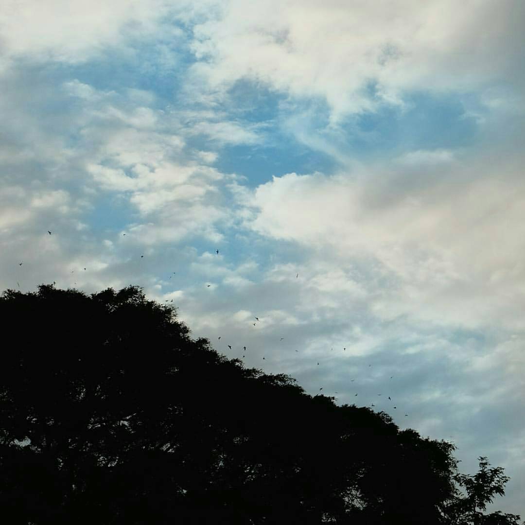 Jelajah Wisata Sukabumi - Eid Mubarak! Yuk, Temukan Keindahan Alamnya! 1603218258 152 Jelajah Wisata Sukabumi Eid Mubarak Yuk jelajah tempat wisata - Jelajah Wisata Sukabumi - Eid Mubarak! Yuk, Temukan Keindahan Alamnya!