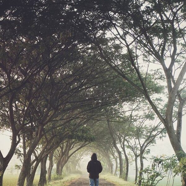#explorejogja photo today by  taken around Pleret, Bantul....