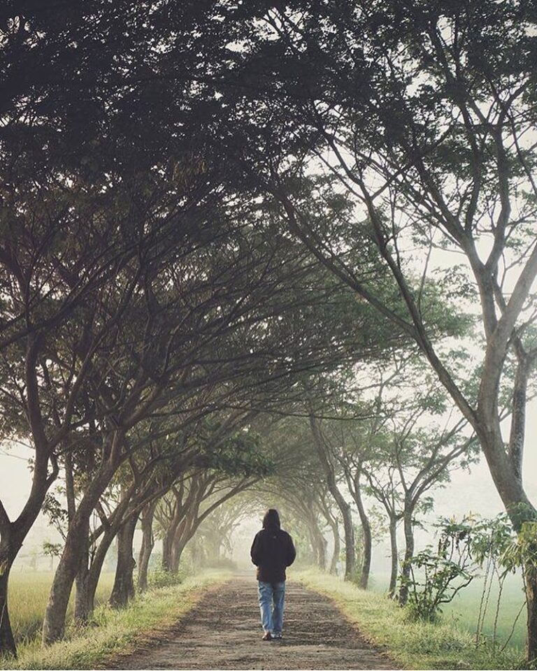#explorejogja photo today by  taken around Pleret, Bantul....