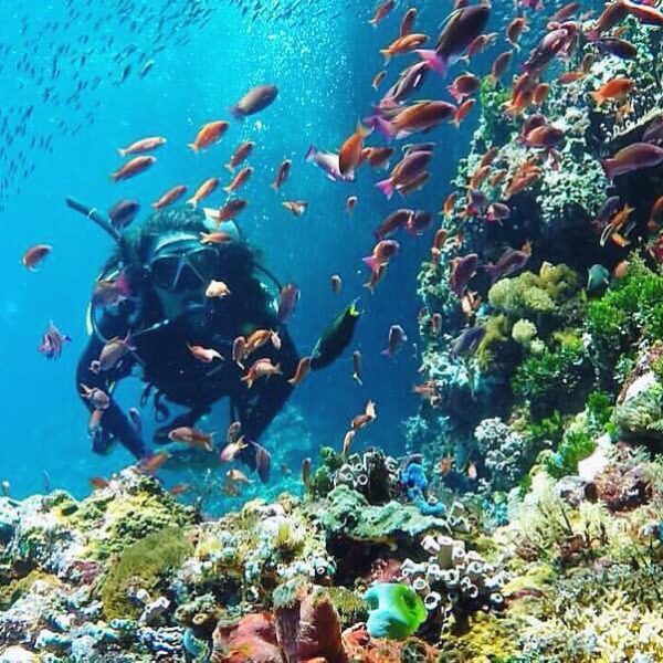 #explorealor Photo today by  Taken around at Alor, Nusa Tenggara Timur
#alor
#al...
