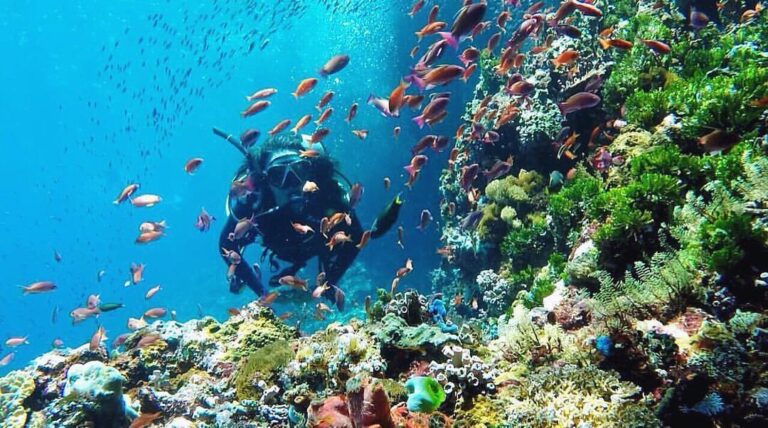 #explorealor Photo today by  Taken around at Alor, Nusa Tenggara Timur
#alor
#al...