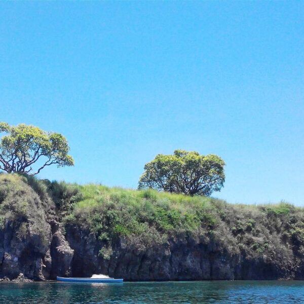 #explorebima Photo today by  taken at Ular Island Pai Wera
#exploreindonesia...