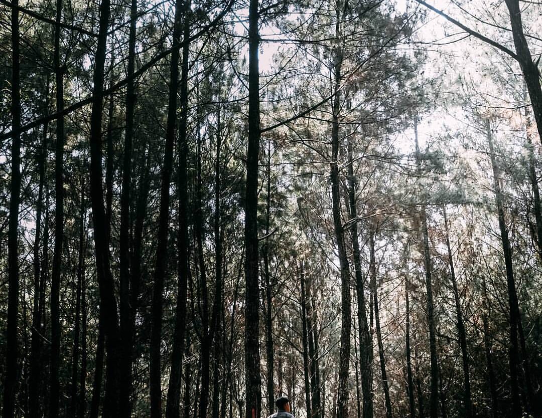 #exploresukabumi photo by  taken around Situ Cipiit #JampangTengah...