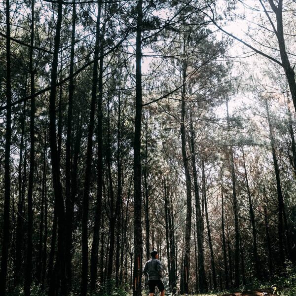 #exploresukabumi photo by  taken around Situ Cipiit #JampangTengah...