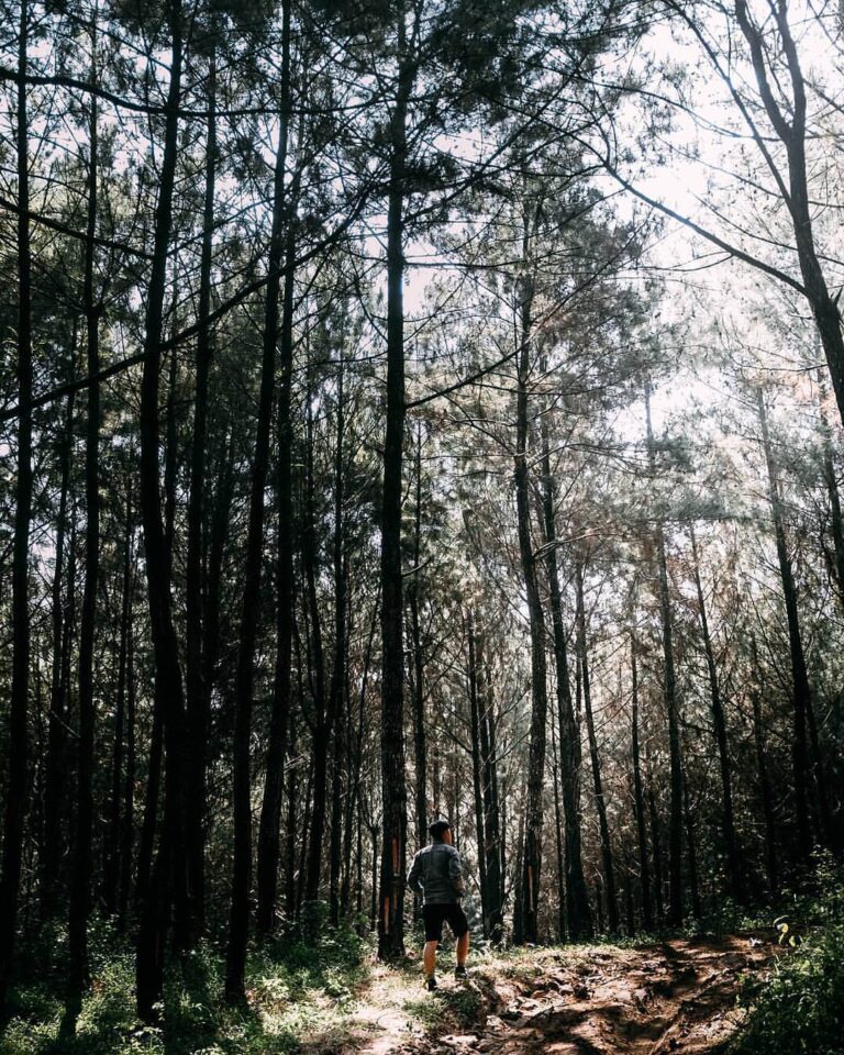 #exploresukabumi photo by  taken around Situ Cipiit #JampangTengah...