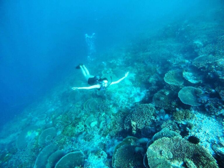 #explorealor Photo today by  Taken around at Pulau Kepa, Alor, Nusa Tenggara Tim...