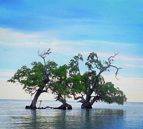 #explorealor Photo today by  Taken around at Pulau Pantar, Alor, Nusa Tenggara T...