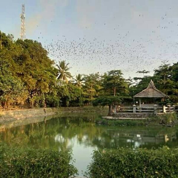 #exploresukabumi photo by  taken around Goa Lalay, #CiletuhPalabuhanratuGeopark...