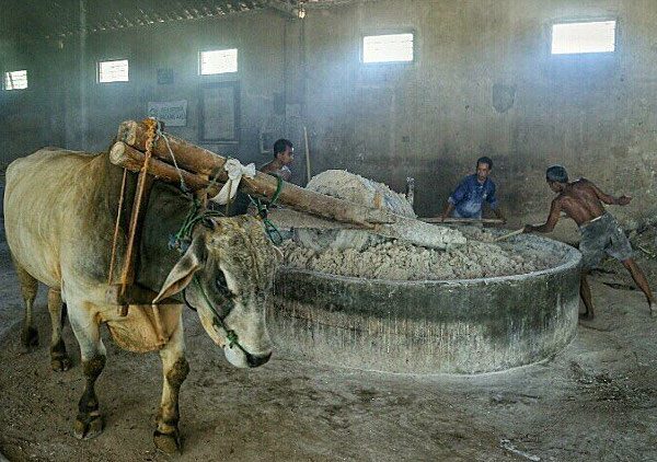 #explorejogja photo today by  covering Produksi Mie Lethek, Bantul....