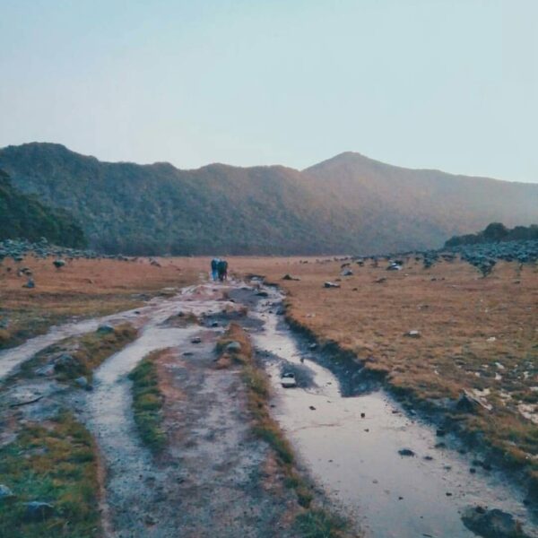 #exploresukabumi photo by  taken at Taman Nasional Gunung Gede Pangrango...
