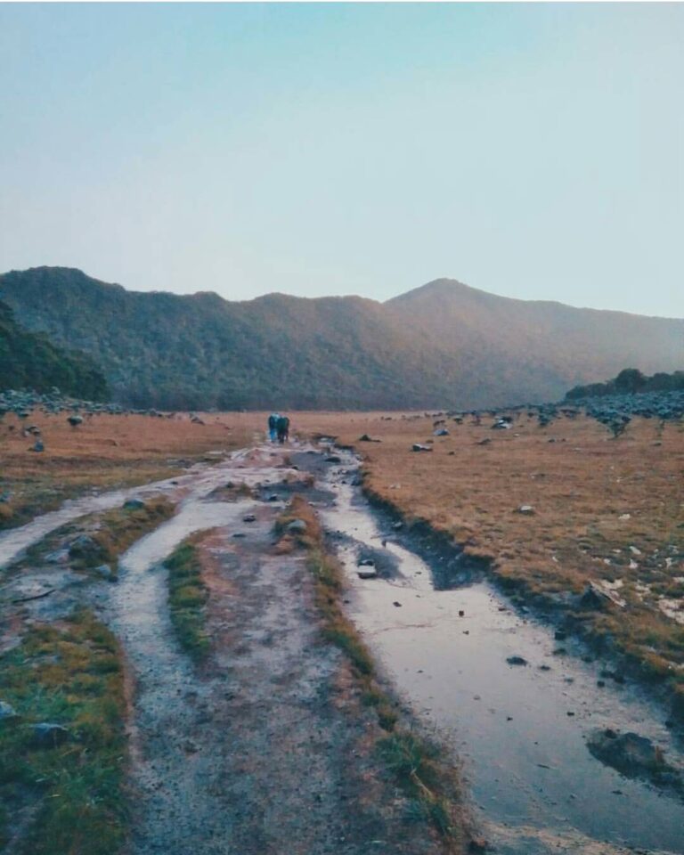 #exploresukabumi photo by  taken at Taman Nasional Gunung Gede Pangrango...