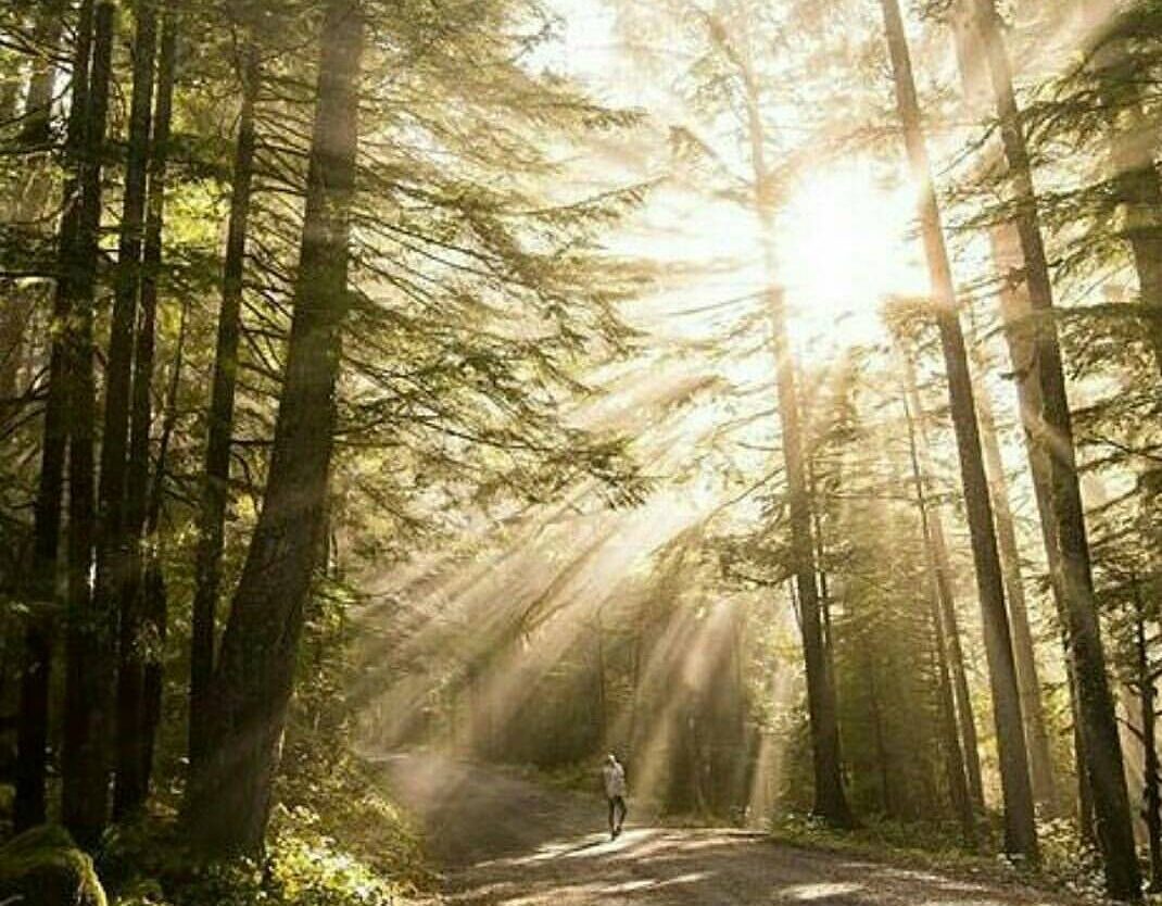 #exploresukabumi photo by  taken at Gunung Walat, #Cicantayan...