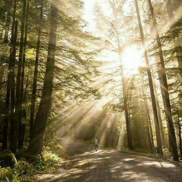 #exploresukabumi photo by  taken at Gunung Walat, #Cicantayan...