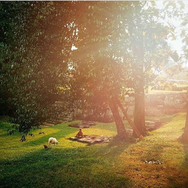 #explorejogja photo today by  taken at Candi Ratu Boko....