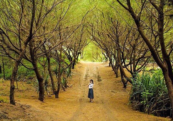 #explorejogja photo today by  taken at Pantai Cemara Sewu, Bantul....