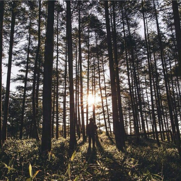 #exploresukabumi photo by  taken at Hutan Pendidikan Gunung Walat, #Cibadak #Cic...