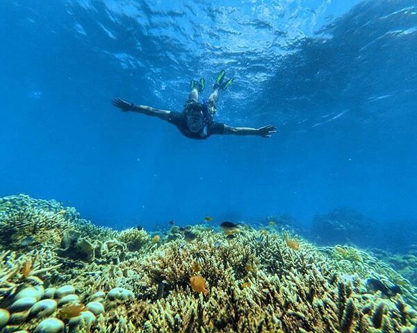 #explorebima Photo today by  taken at So Numbe  Beach Kolo
#exploreindonesia...