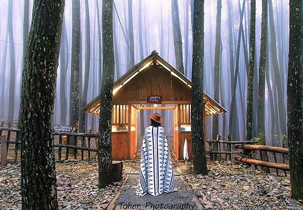#explorejogja photo today by  taken at Hutan Pinus, Dlingo, Bantul....