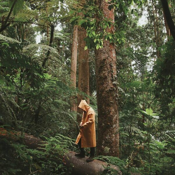 #exploresukabumi photo by  taken at Taman Nasional Gunung Gede-Pangrango...