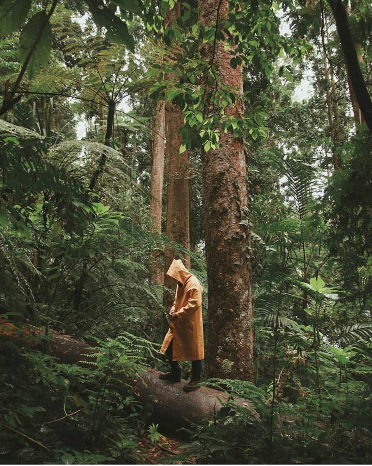 #exploresukabumi photo by  taken at Taman Nasional Gunung Gede-Pangrango...