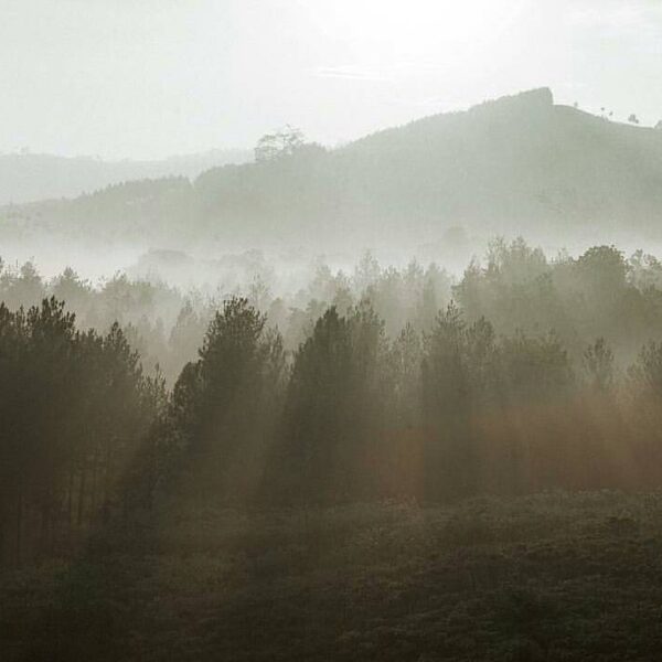 #exploresukabumi photo by  lensed around Puncak Buluh, #JampangKulon...