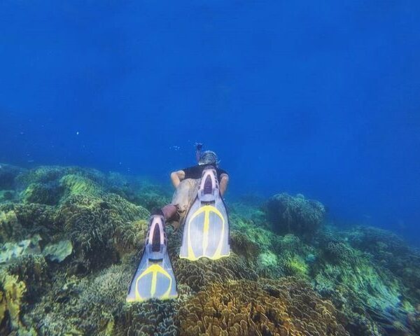 #explorebima Photo today by  taken at Bajopulo Beach Sape
#exploreindonesia...